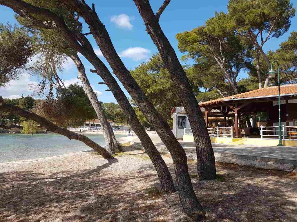 Mobile Homes Malu Biograd Na Moru Dış mekan fotoğraf